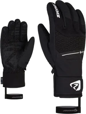 Alpine Men's Ski Gloves Granit Goretex Black