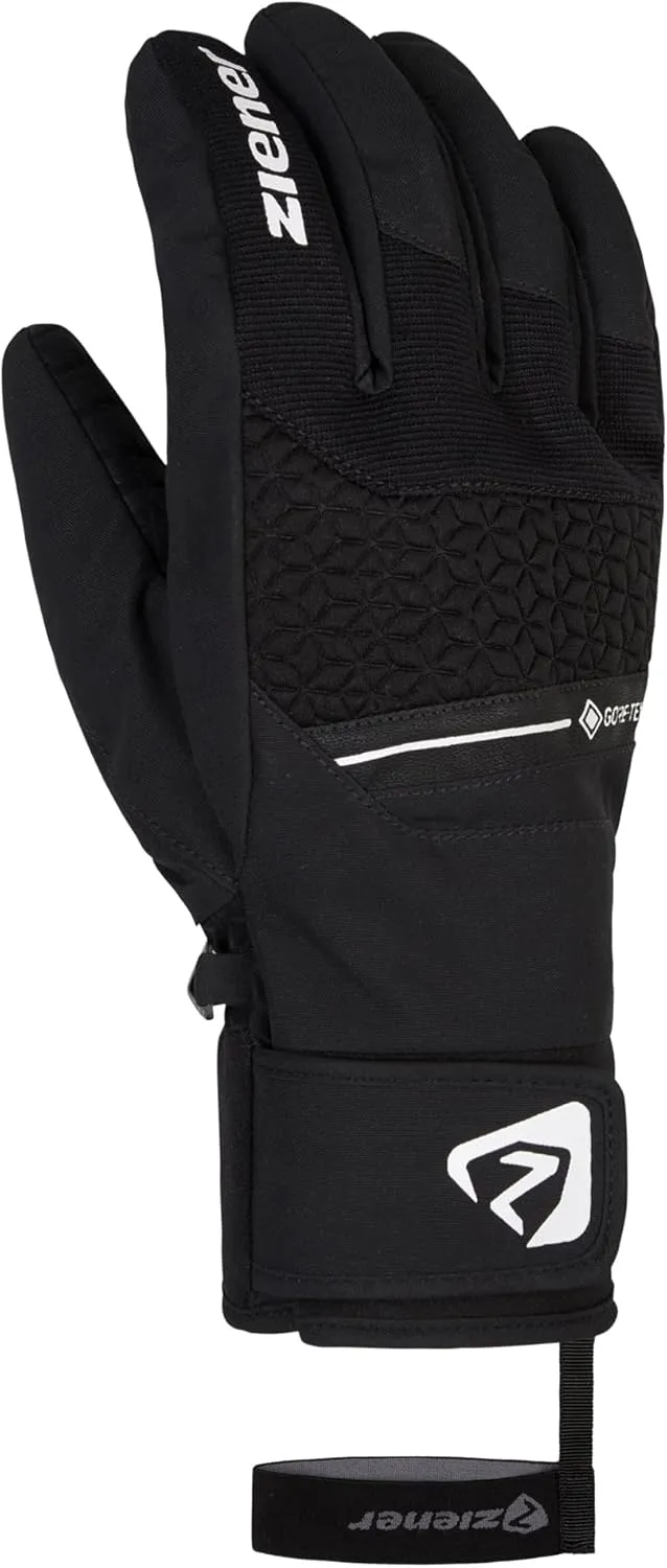 Alpine Men's Ski Gloves Granit Goretex Black