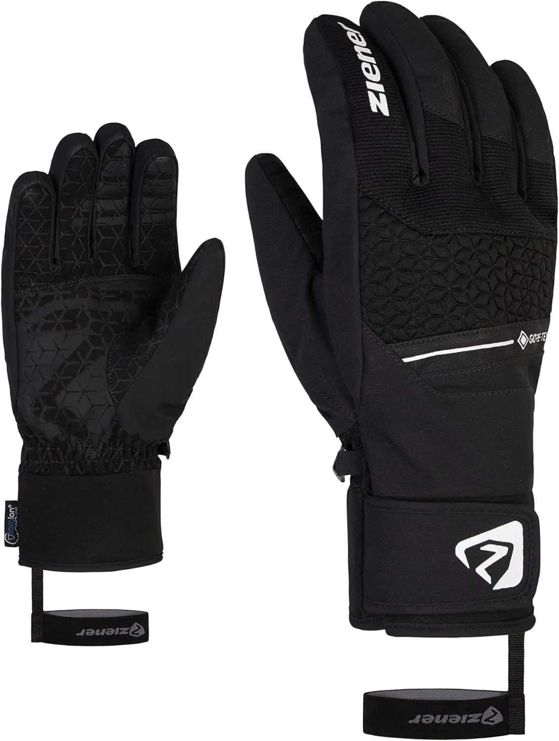 Alpine Men's Ski Gloves Granit Goretex Black