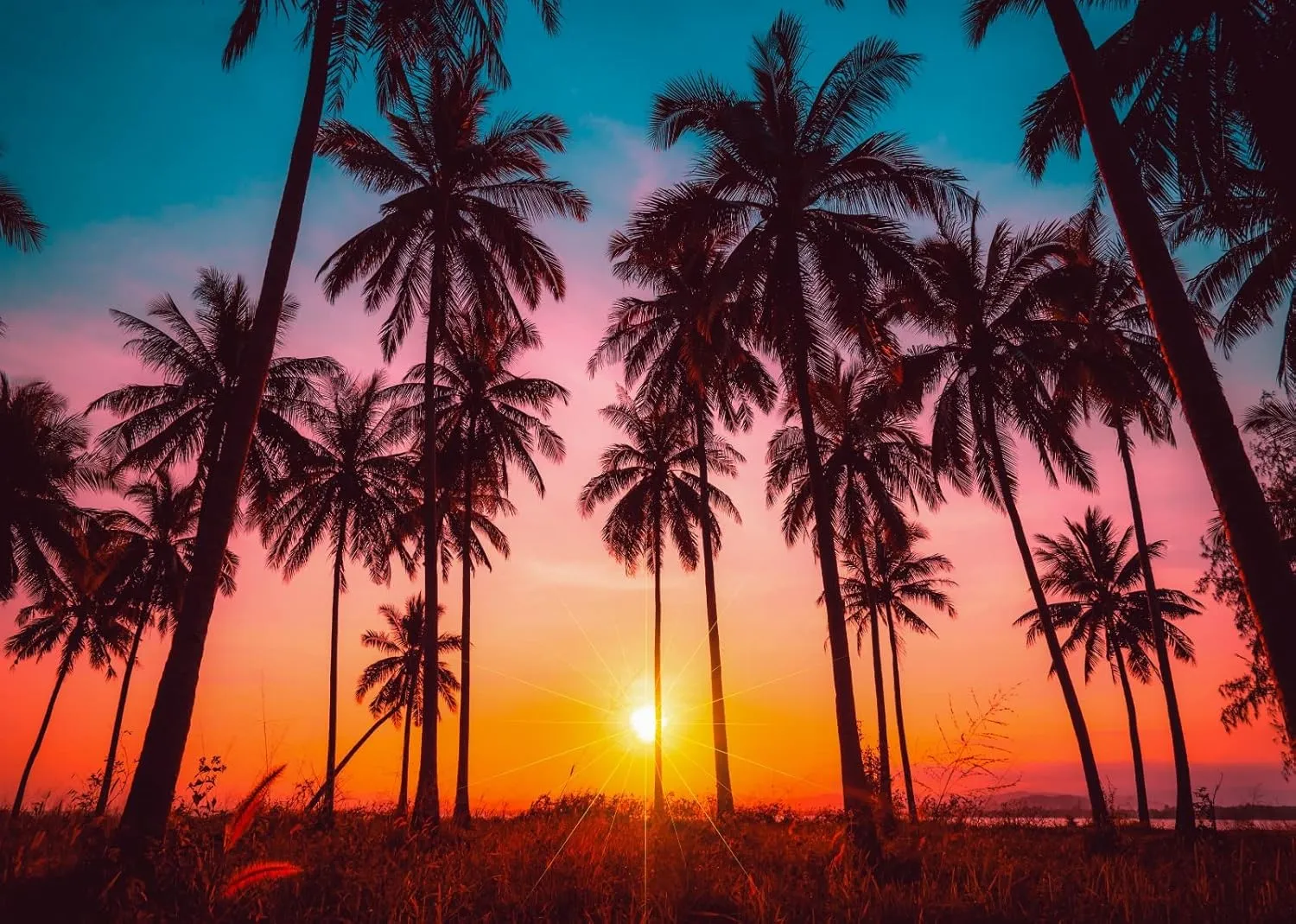 BELECO 8x6ft Fabric Sunset Beach Backdrop Tropical Seaside Coconut Palm Trees Background Backdrop Summer Beach Sunset Hawaii Luau Party Decorations Birthday Photoshoot Studio Photo Props