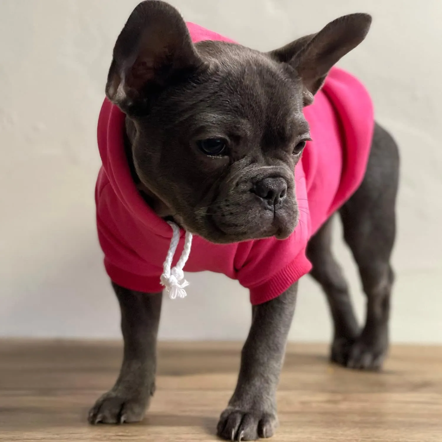 Big Brother Heart Paw Pullover Fleece Lined Dog Hoodie (Red Hooded Sweatshirt)