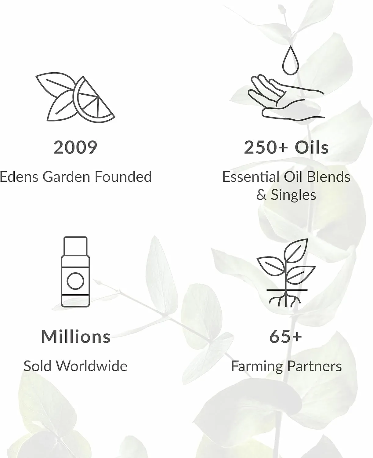 Edens Garden Beach House Essential Oil Roll-On Blend- 100% Pure Premium Grade, Natural, Therapeutic, Aromatherapy, Kid & Skin Safe, The Best for Travel, Relaxation Pre-Diluted 10 ml (.33 fl oz)