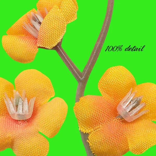 Fall Flowers, Volume 06