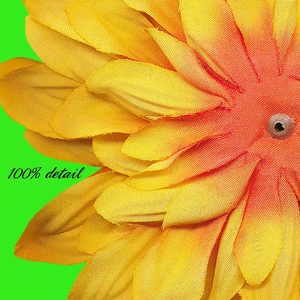 Fall Flowers, Volume 06