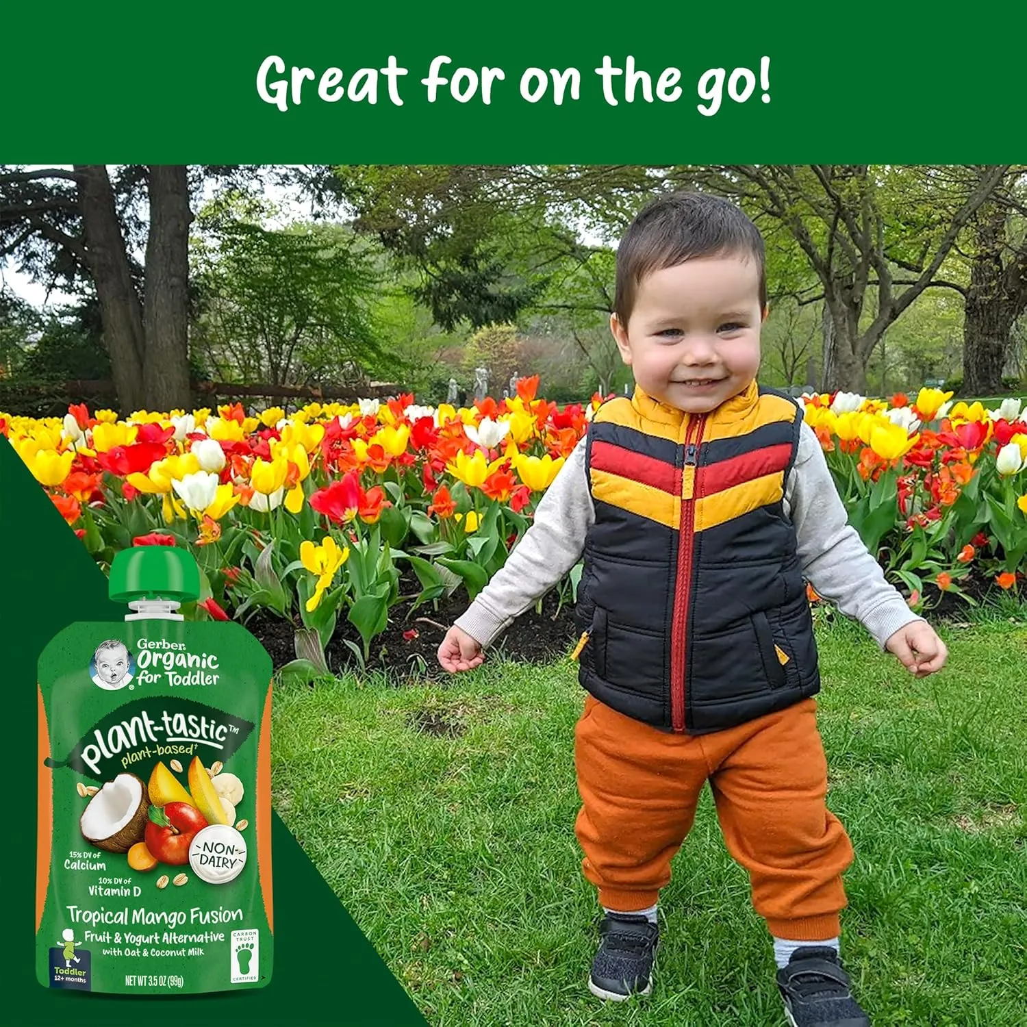 Gerber Organic Baby Food Pouches, Toddler, Plant-tastic, Tropical Mango Fusion, Fruit & Yogurt Alternative with Oat & Coconut Milk, Non-Dairy, 3.5 oz (Pack of 12)