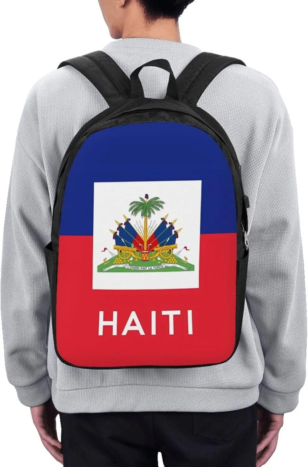 Haiti Haitian Flag Travel Backpack 17-Inch Laptop Backpacks Business Rucksack Casual Sport Daypack with USB Charging Port Carry-on Bag for Camping Biking