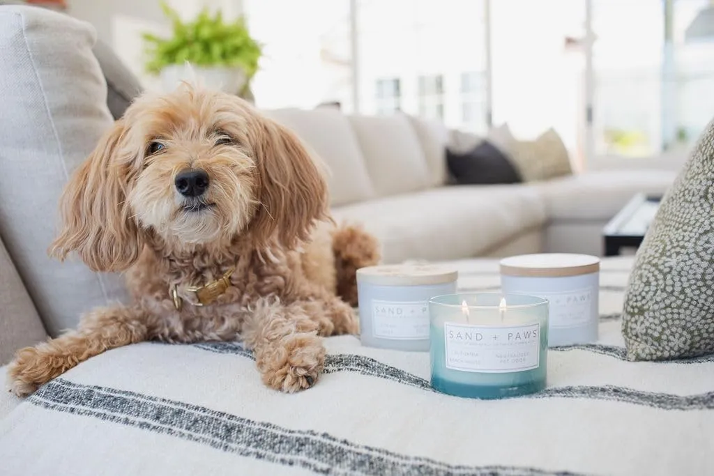 Sand   Paws Scented Candle - California Beach House –Luxurious Air Freshening Jar Candle Neutralize pet Odors and Enhance Home décor – 100% Cotton Lead-Free wicks-12oz