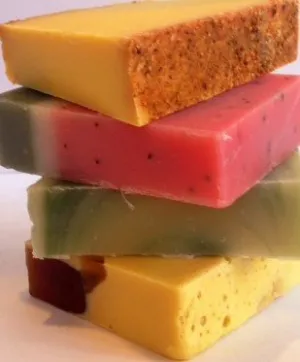 Sudsy Summer Soap 4-pack