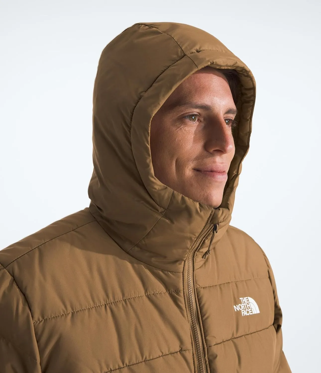 THE NORTH FACE Men's Aconcagua 3 Lined Hoodie